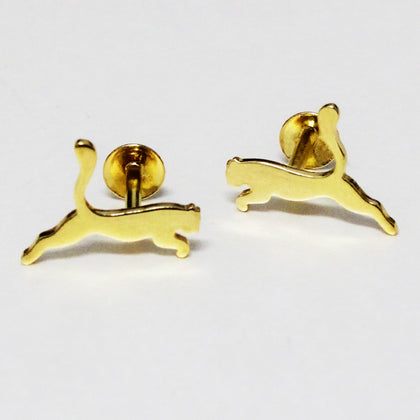 Jaguar Stud